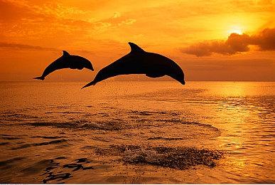 《异形：隔离》团队开发新科幻FPS已有四年时间